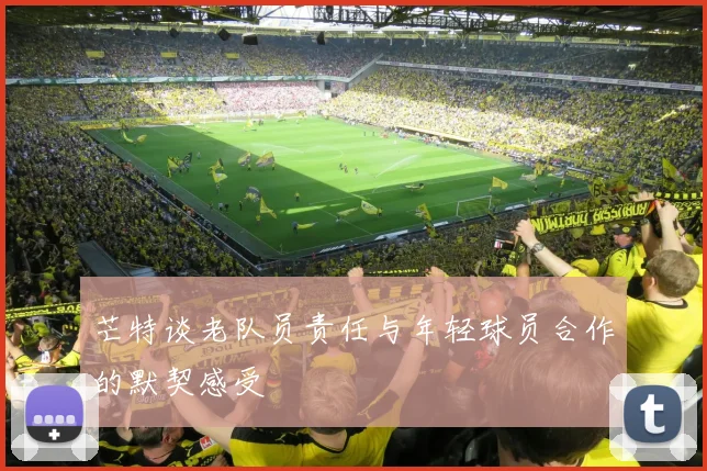 芒特谈老队员责任与年轻球员合作的默契感受