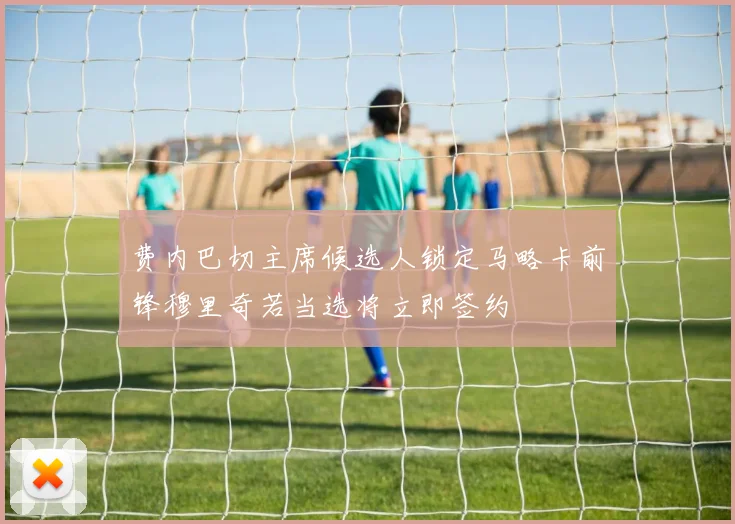 费内巴切主席候选人锁定马略卡前锋穆里奇若当选将立即签约